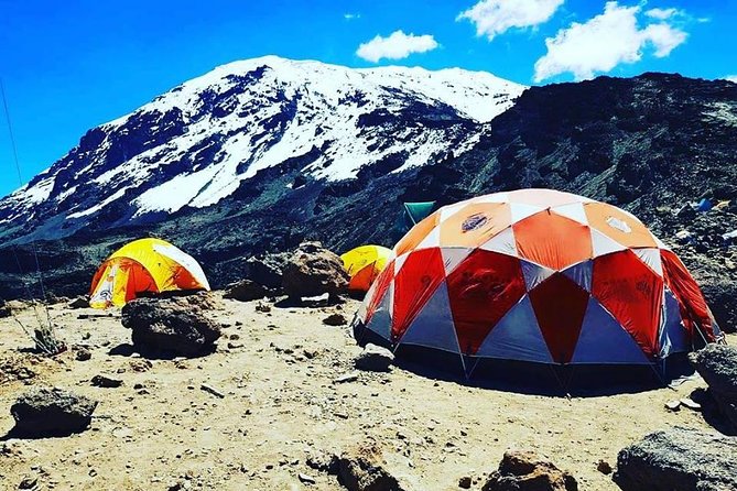 8 days Lemosho route Climbing Mt. Kilimanjaro - Day 2: From rainforest to Shira 1
