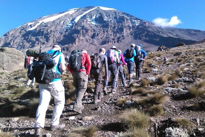 8 Days Lemosho Route Kilimanjaro Trekking - Day 1: From Arusha to the rainforest