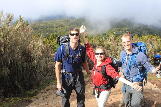 8 Days Mt Kilimanjaro Climb - Lemosho Route - Day 4: An eight-kilometer middle section