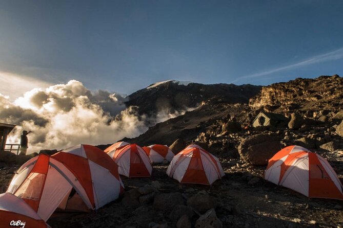 8 Days Mt Kilimanjaro Climb - Lemosho Route - Day 5: The longest pre-summit walking day