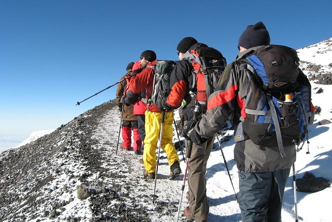 8 Days Mt Kilimanjaro Climb - Lemosho Route - Day 1: Arrive in Moshi and rest
