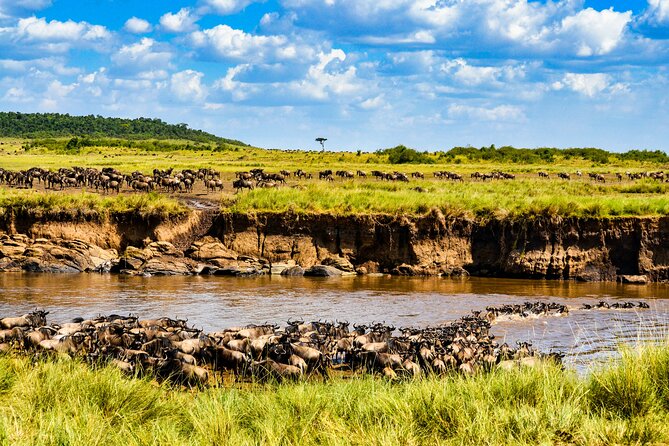 8 Days Private Safari in Serengeti Tour - Day 1: Kilimanjaro Airport to a quiet night in Arusha