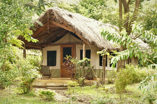 8 Days Safari to Mikumi, Ruaha & Udzungwa Mountains - Day 2: A full day among Mikumi’s wildlife