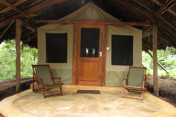 8 Days Safari to Mikumi, Ruaha & Udzungwa Mountains - Day 8: Returning to Dar es Salaam