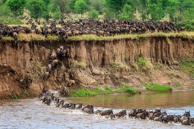 8 Days Serengeti Migration safari - Day 2: Mto wa Mbu by bicycle, then Lake Manyara