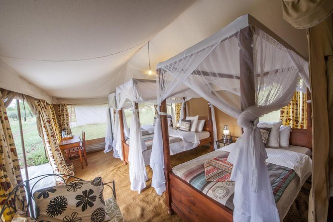 8 Days Tanzania Adventure Tented Camps Safari - Day 1: Coffee farms and a useful Arusha briefing