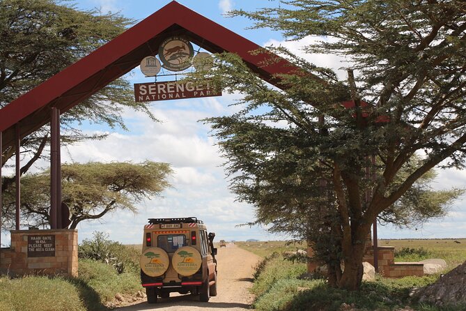8 Days Tanzania Simba Luxury Safari - Day 2: Elephants and baobabs in Tarangire