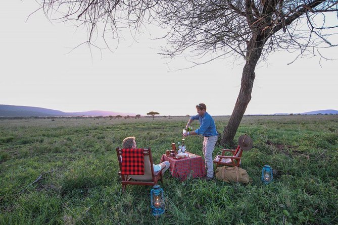 8 Days Tanzania Wildlife Safari Experience - Why the drive-in, fly-out route works well