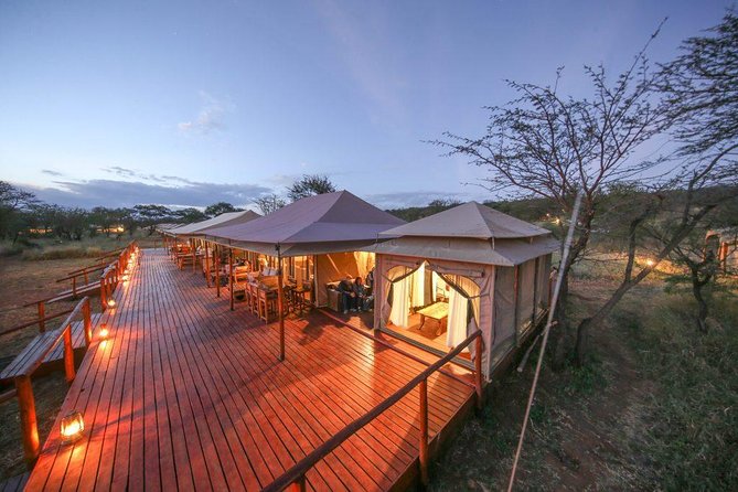 8 Days Tanzania Wildlife Safari Experience - A full Serengeti day for predators and herds