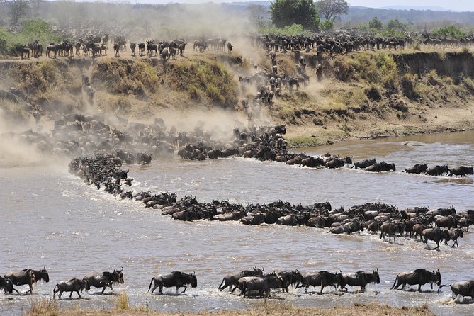 8 Days Tanzania Wildlife Safari Experience - The Seronera flight and what the price includes