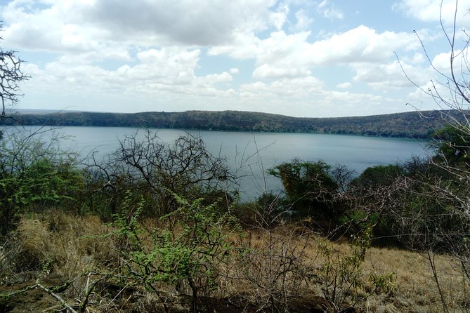 8-Hour Lake Chala Guided Tour from Moshi or Arusha - Wildlife you might see around the reserve