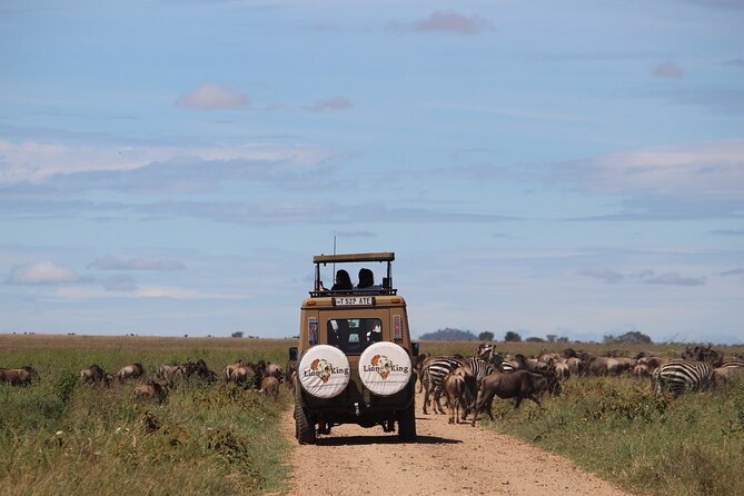 9-Day Serengeti Migration Footsteps Tanzania Safari - Day 5: Waiting for one of nature’s great scenes