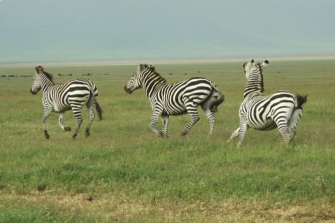 9-Day Ultimate Tanzania Honeymoon Safari Luxury Package - What this honeymoon safari is really selling