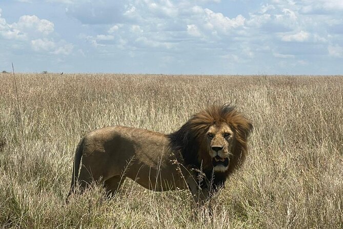 9 Days 8 Nights Walking Safari - Day 1: A soft landing at Springlands Hotel in Moshi
