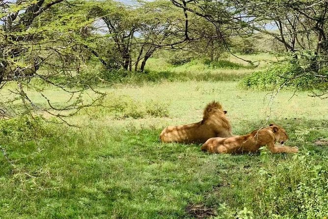 9 Days - Best of Tanzania Safari - A nine-day route through Tanzania’s Northern Circuit
