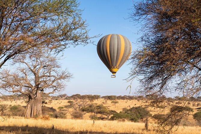 9 Days Great Migration Safaris with Kojuu Safaris Africa-Luxury. - The route follows the migration, not a fixed promise