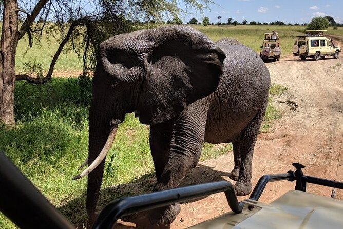 9-Days High End Road and Air Kenya Safari - Day One: Nairobi to Amboseli by Air