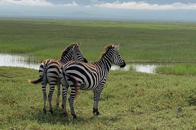 9-Days High End Road and Air Kenya Safari - Days Four and Five: Dawn Drives and Bush Breakfasts in the Mara