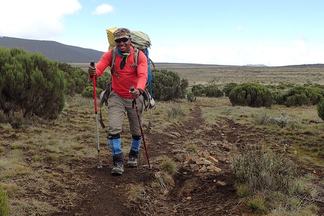 9 Days Kilimanjaro Climb via Lemosho Route - Day 2: Lemosho Gate to Big Tree Camp