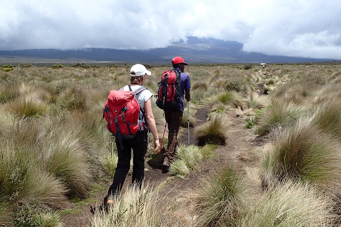 9 Days Kilimanjaro Climb via Lemosho Route - Day 3: Forest edges and the Shira Plateau