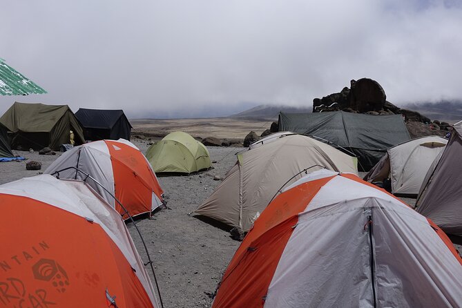9 Days Kilimanjaro Climb via Lemosho Route - Day 4: Shira 1 to Shira 2 for acclimatization