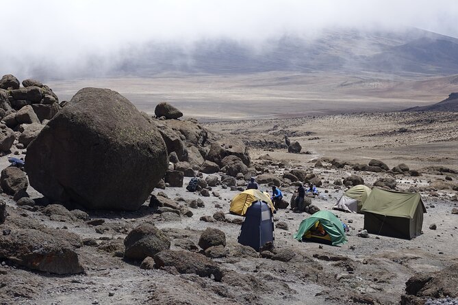 9 Days Kilimanjaro Climb via Lemosho Route - Day 5: Lava Tower and the alpine desert