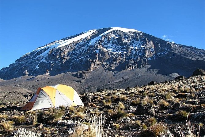 9 Days Kilimanjaro Hiking or Climbing via Northern Circuit route - Key points to know before booking