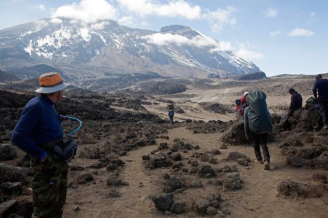 9 Days Kilimanjaro Hiking or Climbing via Northern Circuit route - Day 4: Lava Tower and Moir Hut