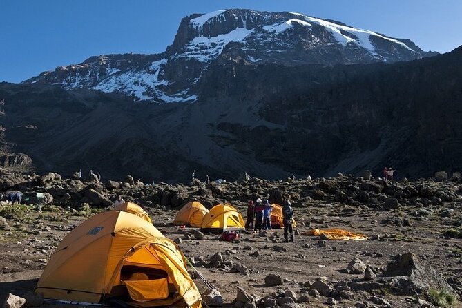 9 Days Kilimanjaro Hiking or Climbing via Northern Circuit route - Day 5: Moir Hut to Buffalo Camp