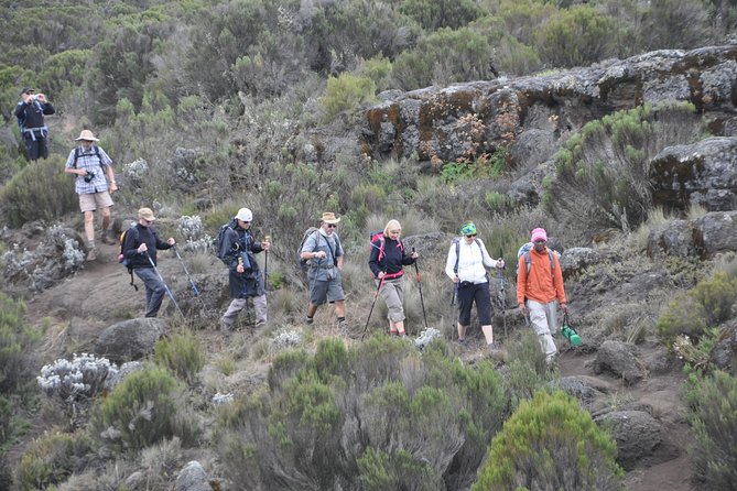9 Days Mount Kilimanjaro Climb Machame Route - Day two: Machame Gate to the rainforest