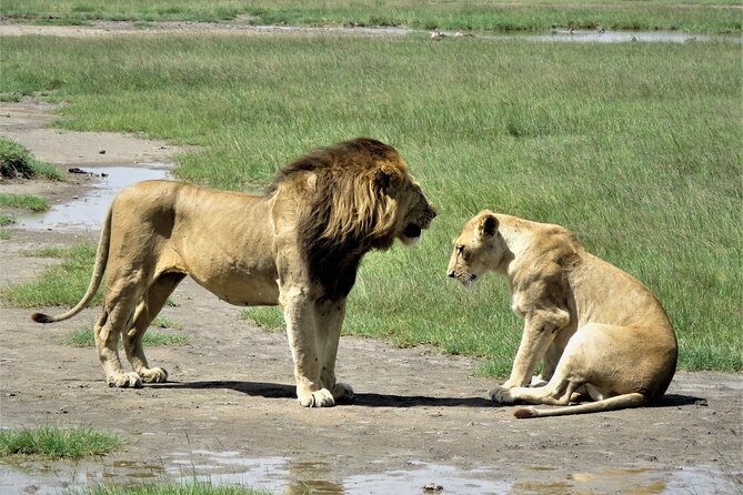 9 Days Safari To See Great Migration Crossing - Arusha National Park begins the safari gently
