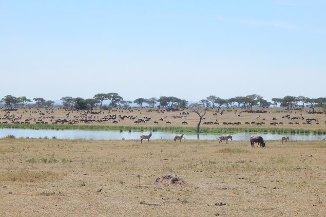 9 Days Tanzania Exhaustive Safari - Ngorongoro Crater is the visual high point