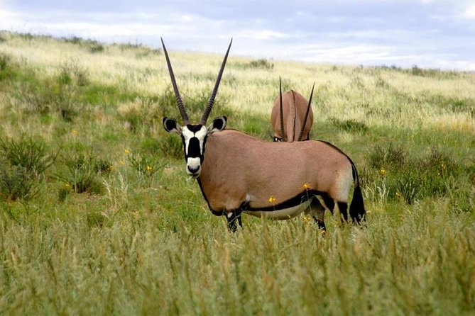A Day Trip To Saadani National Park From Dar es salaam / Zanzibar - Key points to know before you book