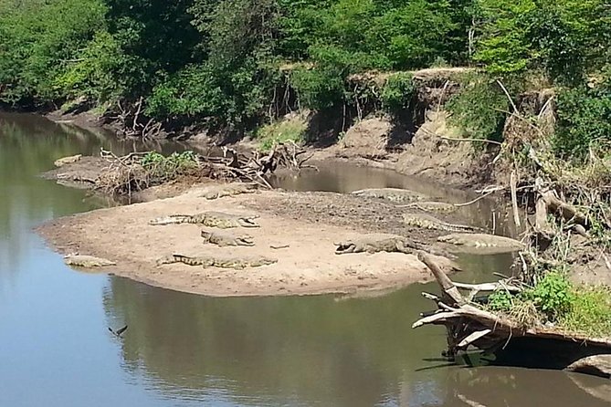 A Day Trip To Saadani National Park From Dar es salaam / Zanzibar - Why Saadani makes a different kind of safari day