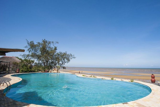 A Day Trip To Saadani National Park From Dar es salaam / Zanzibar - What the strongest praise tells you
