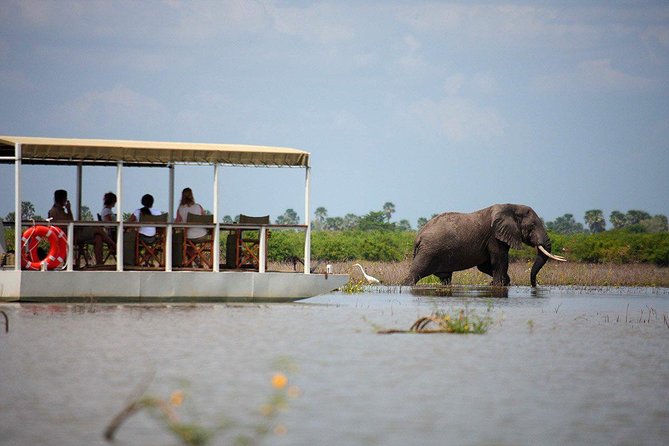 A Day Trip To Selous Fly From Zanzibar - The 8:00 a.m. Flight From Zanzibar