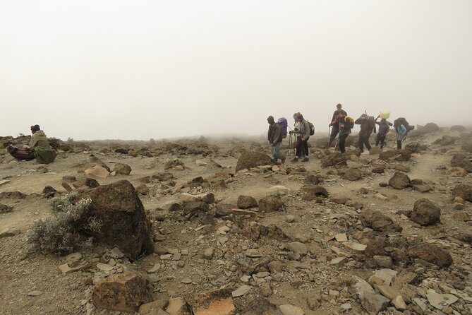 A Definitive Guide For the 7-day Kilimanjaro's Lemosho Route 2025 - Day 7: Mweka Camp to Moshi