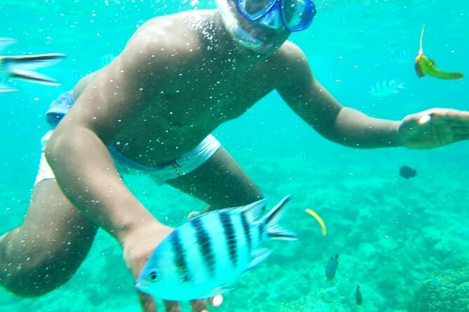 A Full Day Safari Blue Tour And Blue Lagoon - Four hours around Kwale Island