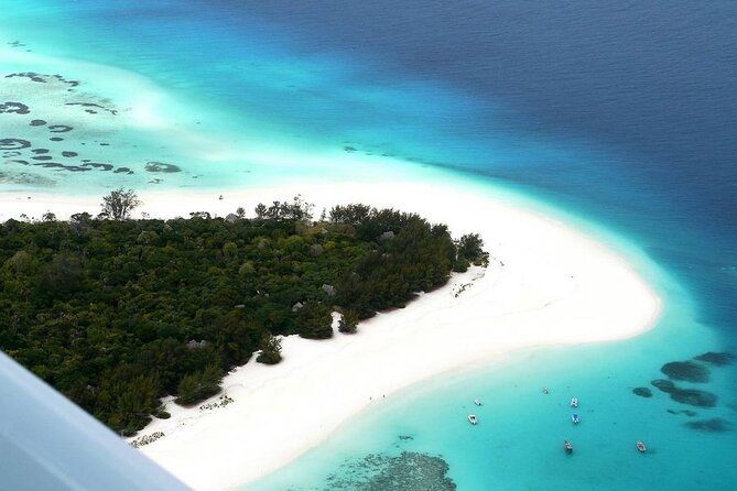 A Half Day Private Dolphins And Snorkeling Tour To Mnemba Island - Who will enjoy this tour most