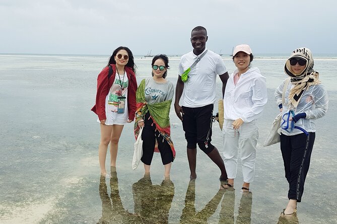A Half Day Private Dolphins And Snorkeling Tour To Mnemba Island - Snorkeling above Mnemba Island’s reserved reefs