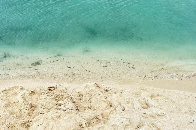 A Half Day Private Prison Island Tour - A beach stop with clear water and real limits