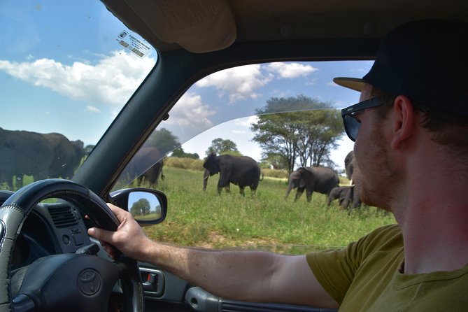 A Visit to The Giants in Tarangire NP. - Why Tarangire makes a strong one-day safari