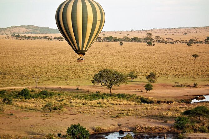 Affordable 3-Day Safari to Serengeti & Ngorongoro Crater - Day three: the Ngorongoro Crater