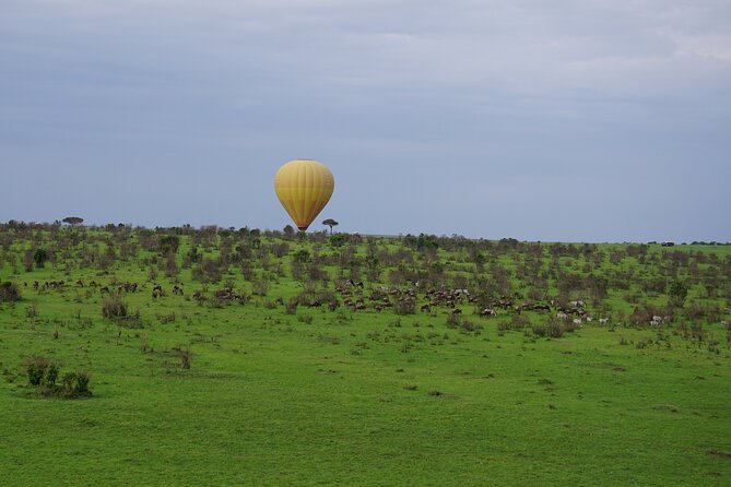 Affordable 3-Day Safari to Serengeti & Ngorongoro Crater - Camping, food, and the daily rhythm