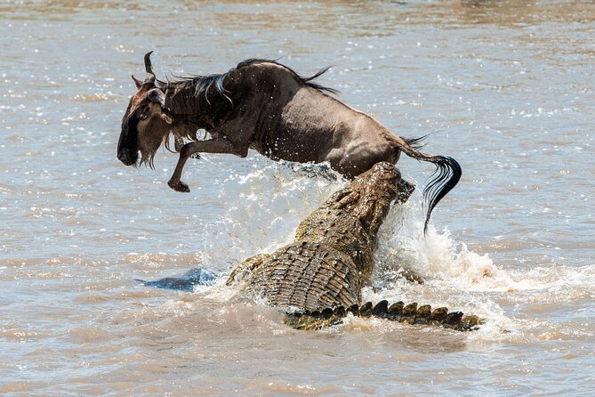 Affordable 3-Day Safari to Serengeti & Ngorongoro Crater - Guides and organization