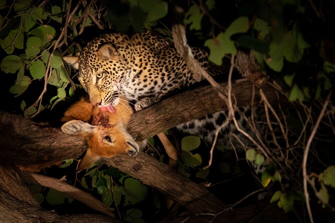 Affordable 3-Day Safari to Serengeti & Ngorongoro Crater - Who will get the most from this trip