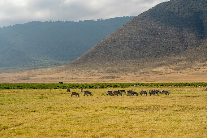 Affordable 4 Days Tanzania Private Mid-range Lodge Safari Tour - Why this four-day route works