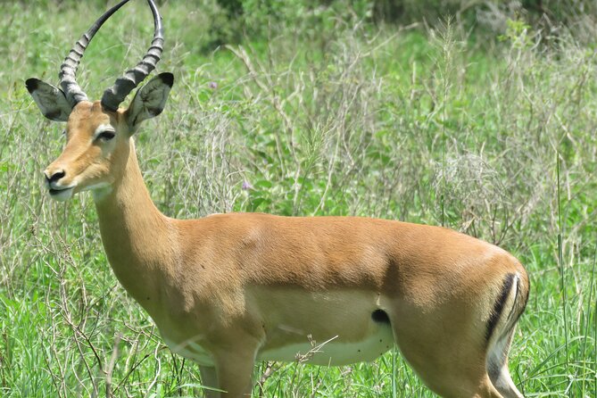 Affordable 5 days Tanzania budget camping safari (group joining) - What the $1,610 price really covers