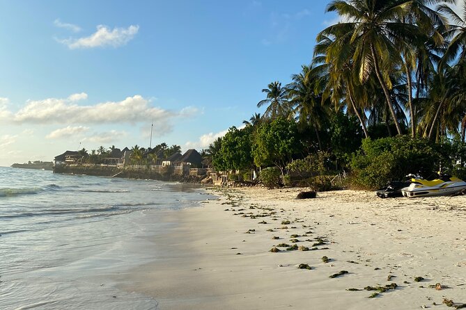 Affordable and Reliable Taxi Services in Zanzibar Island - Why the $20 group price can be strong value