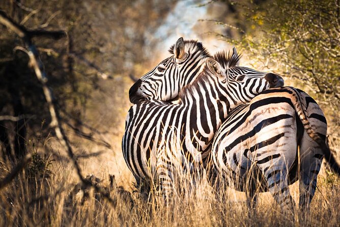 Amazing 4 Days Safari 3 Nights: Tarangire, Ngorongoro, Serengeti - Why this four-day route works